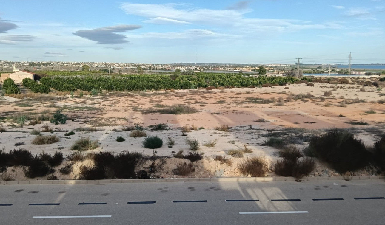 Resale - Detached Villa - Los Montesinos - La Herrada