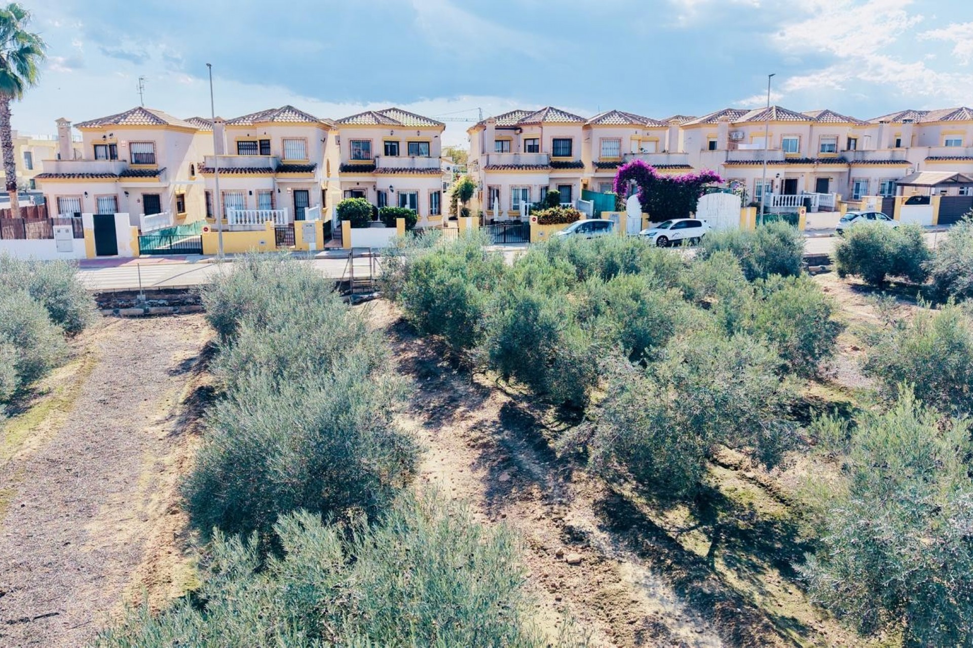 Resale - Detached Villa - Los Montesinos - La Herrada