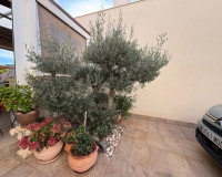 Resale - Detached Villa - Los Montesinos