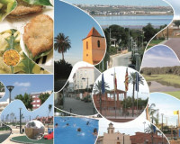 Resale - Detached Villa - Los Montesinos