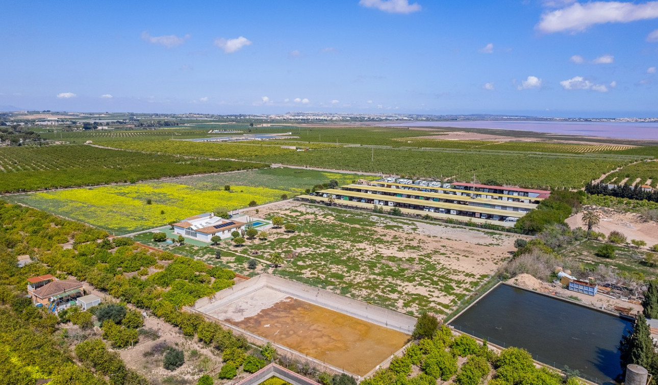 Resale - Detached Villa - Los Montesinos