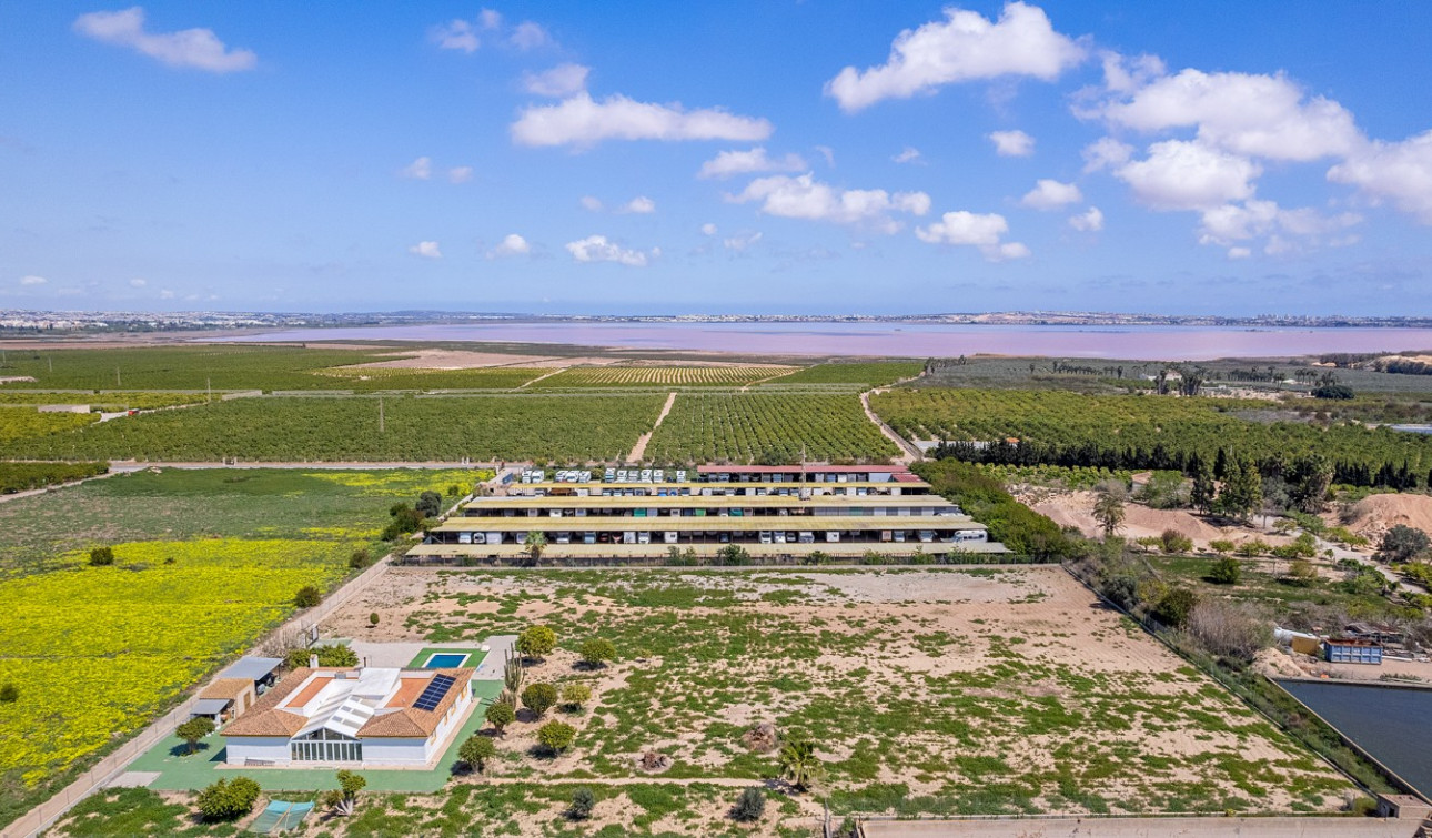 Resale - Detached Villa - Los Montesinos