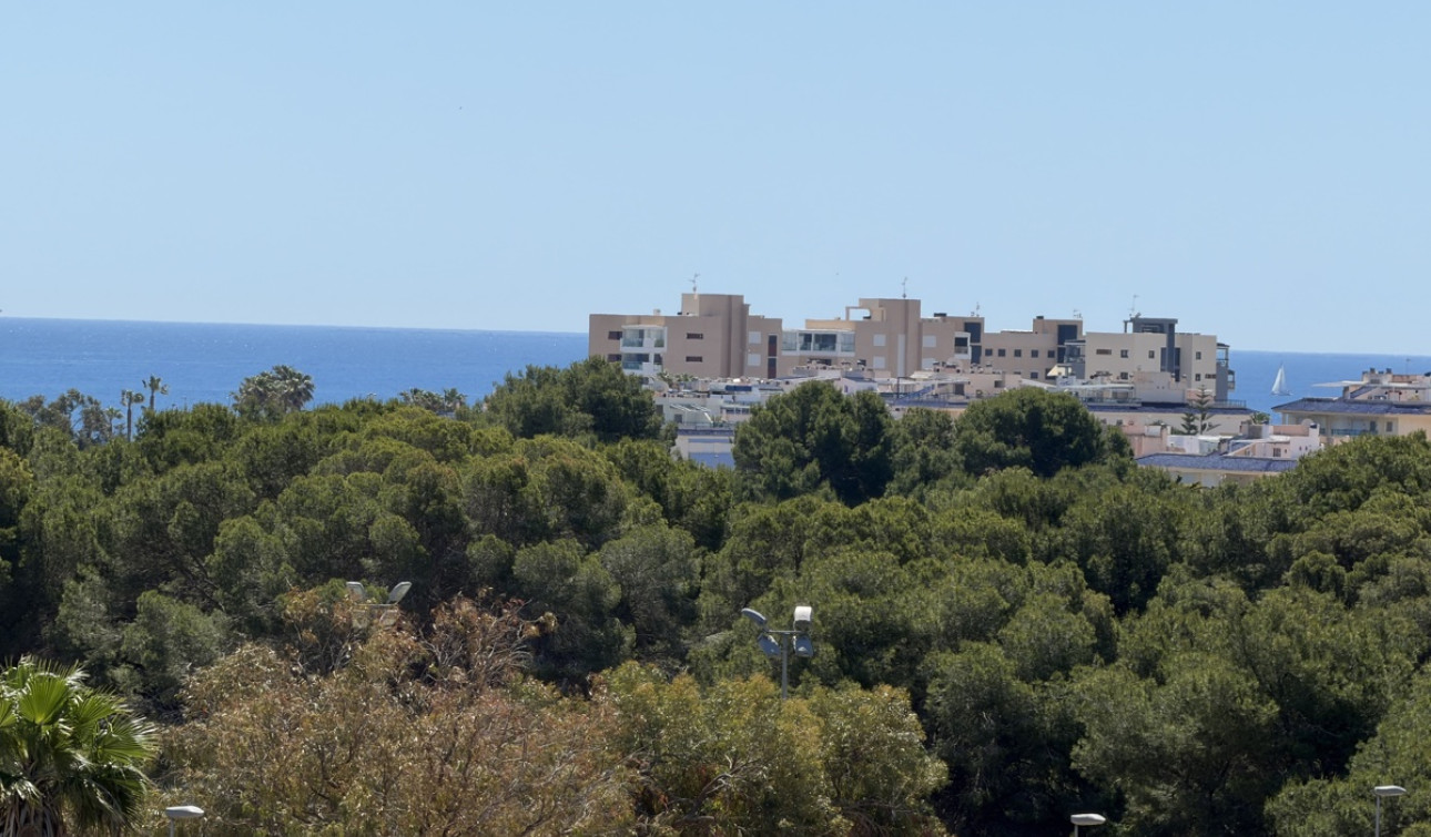 Resale - Detached Villa - Mil Palmeras