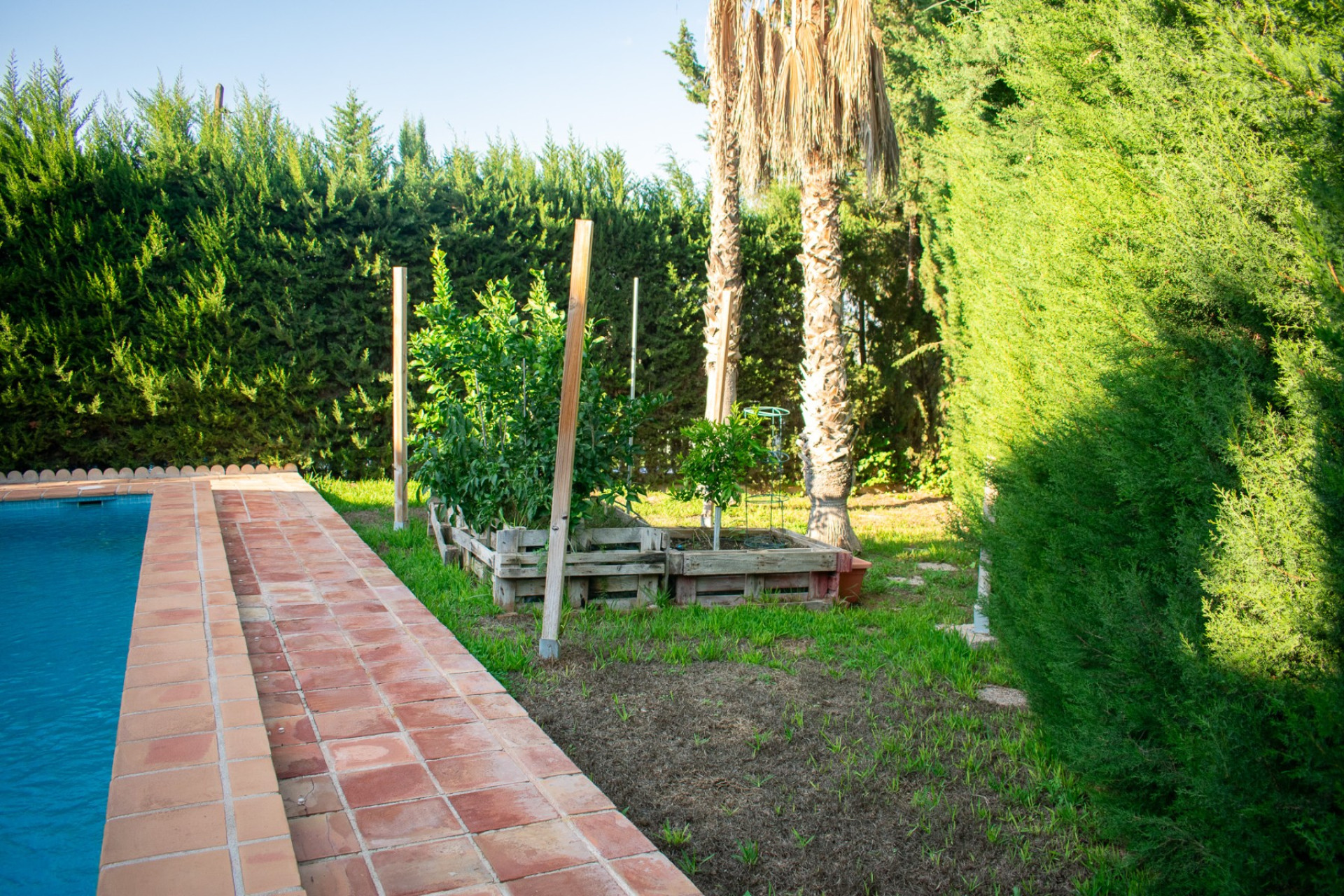 Resale - Detached Villa - Molina De Segura - Torre de Cotillas