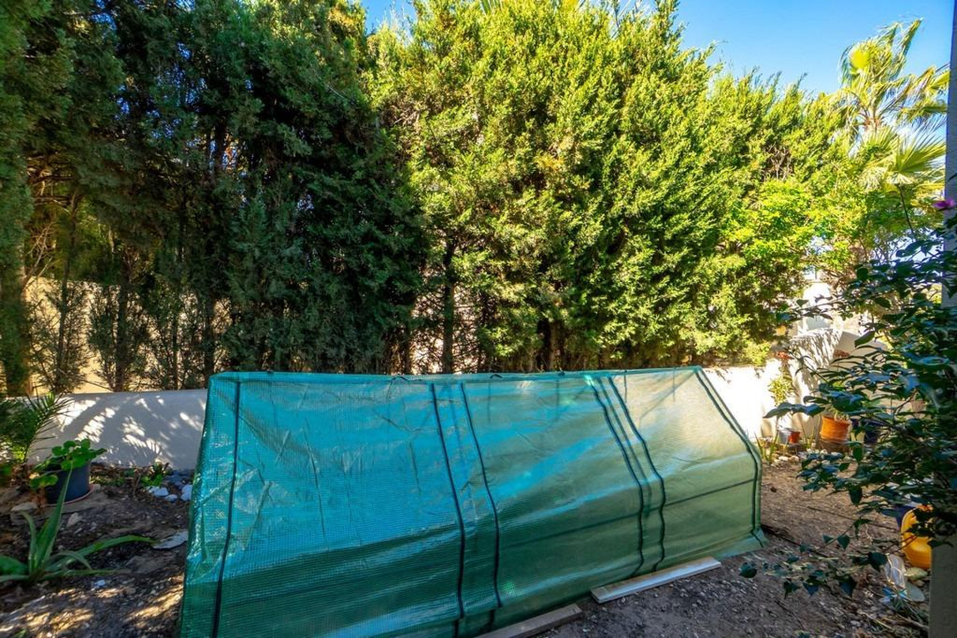 Resale - Detached Villa - Orihuela Costa - Las Ramblas