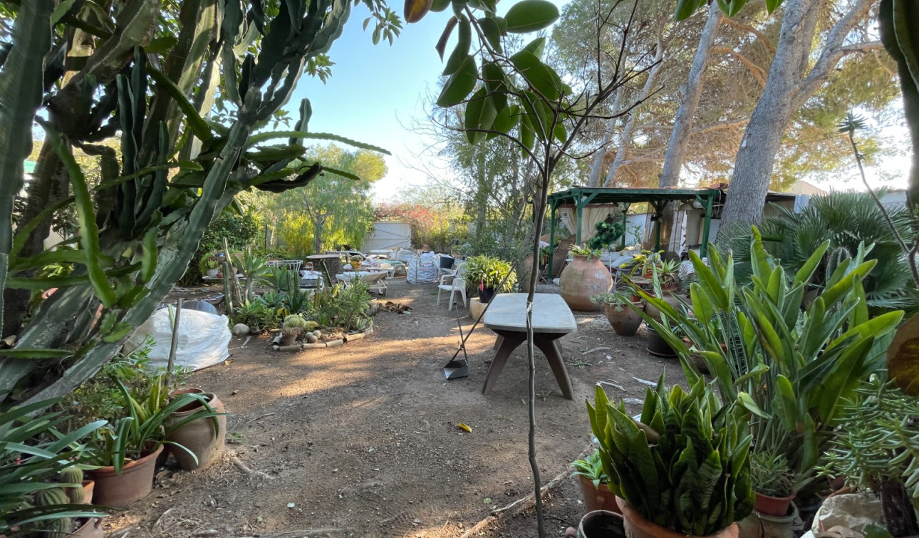 Resale - Detached Villa - Orihuela Costa - Lomas de Cabo Roig
