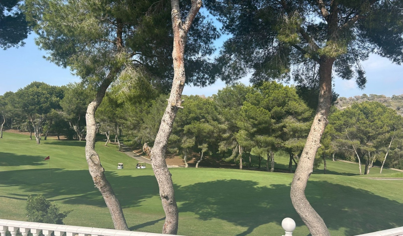 Resale - Detached Villa - Orihuela Costa - Lomas De Campoamor-las Ramblas