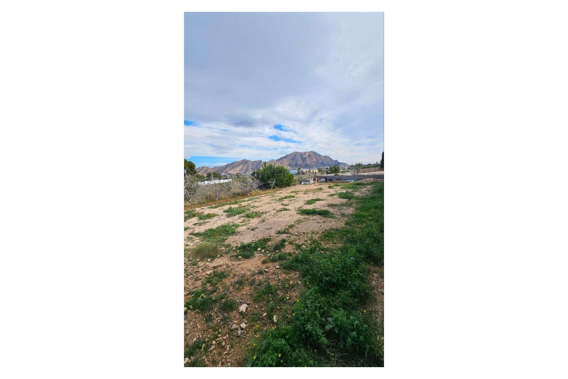 Resale - Detached Villa - Orihuela Costa - Orihuela