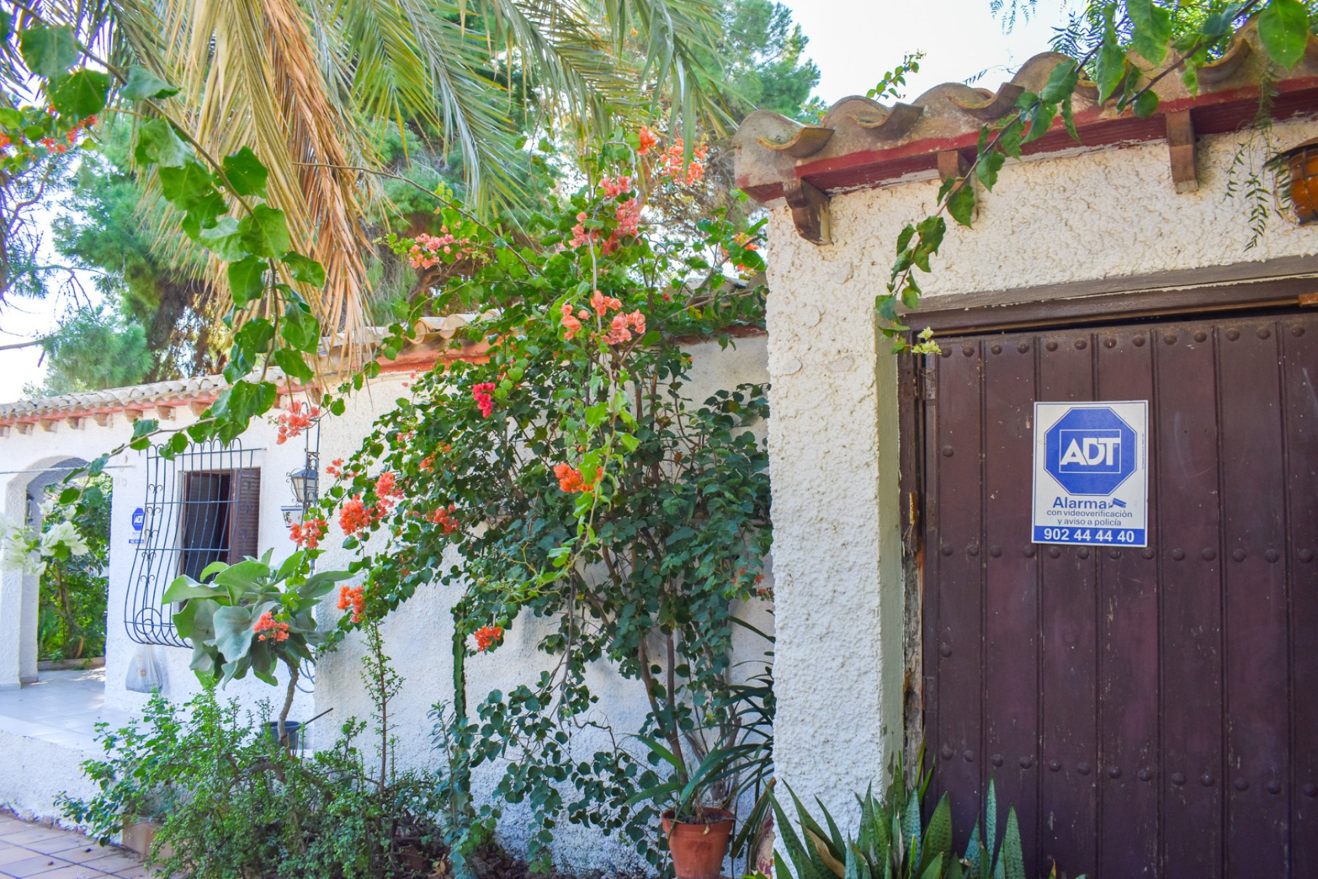 Resale - Detached Villa - Orihuela Costa - Punta Prima