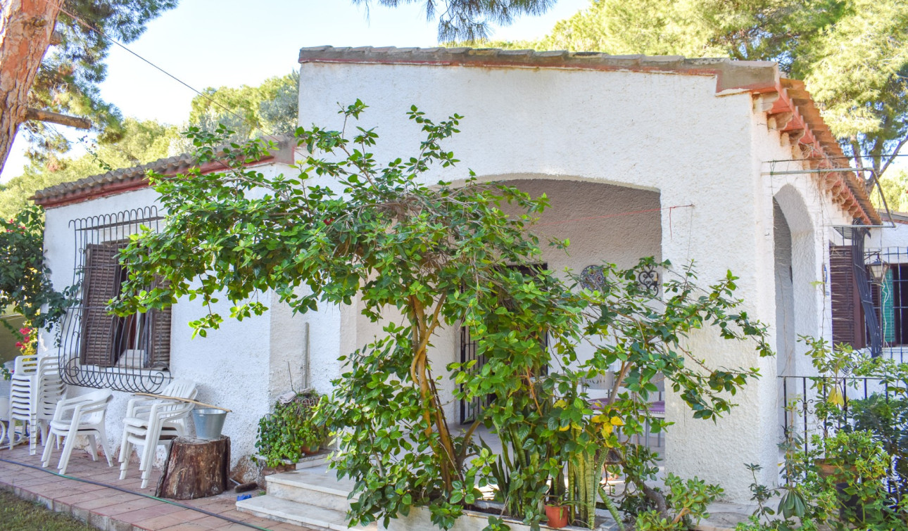 Resale - Detached Villa - Orihuela Costa - Punta Prima