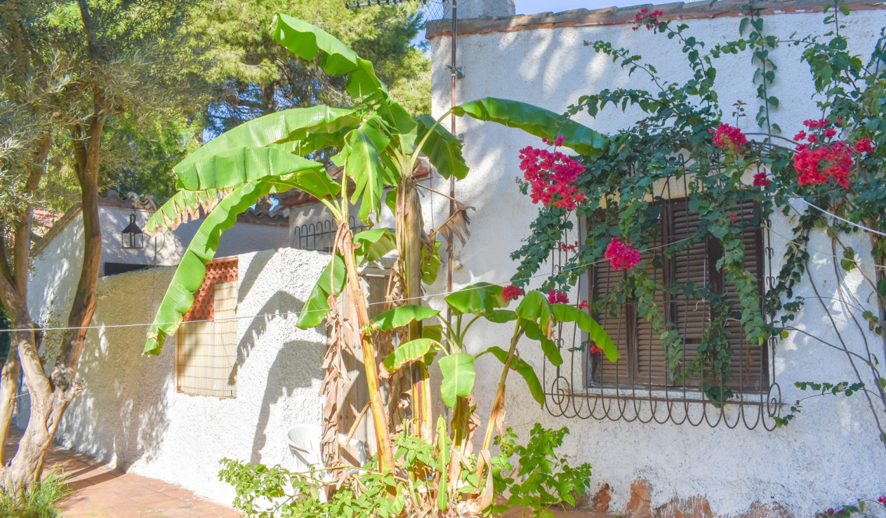 Resale - Detached Villa - Orihuela Costa - Punta Prima