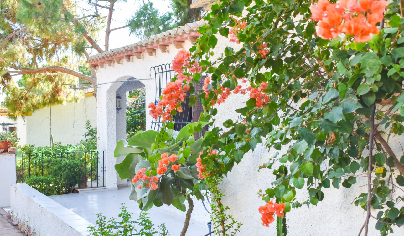 Resale - Detached Villa - Orihuela Costa - Punta Prima