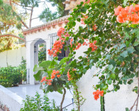 Resale - Detached Villa - Orihuela Costa - Punta Prima