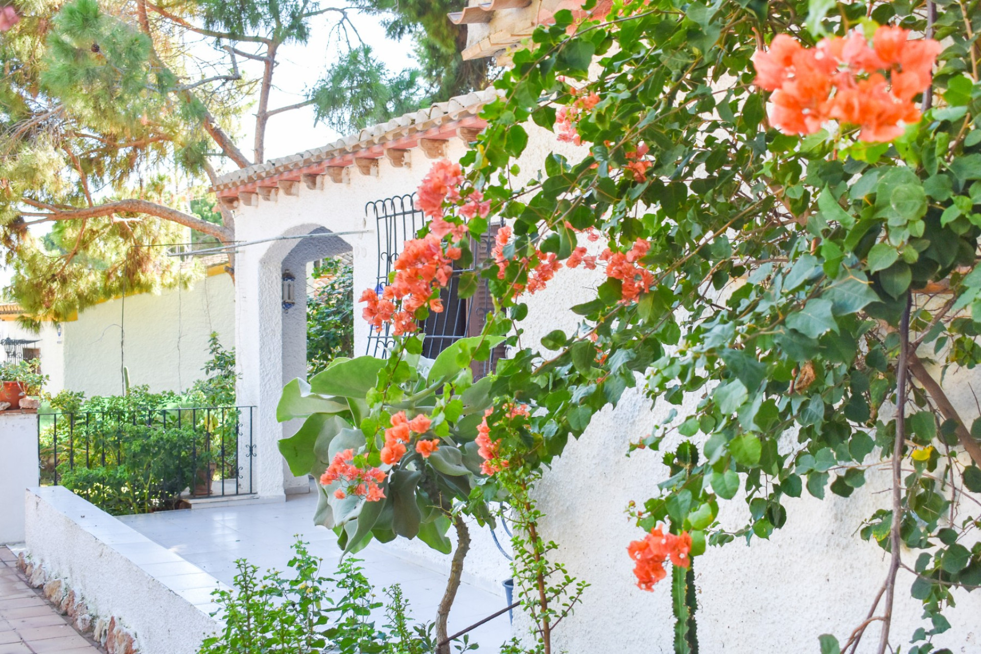 Resale - Detached Villa - Orihuela Costa - Punta Prima