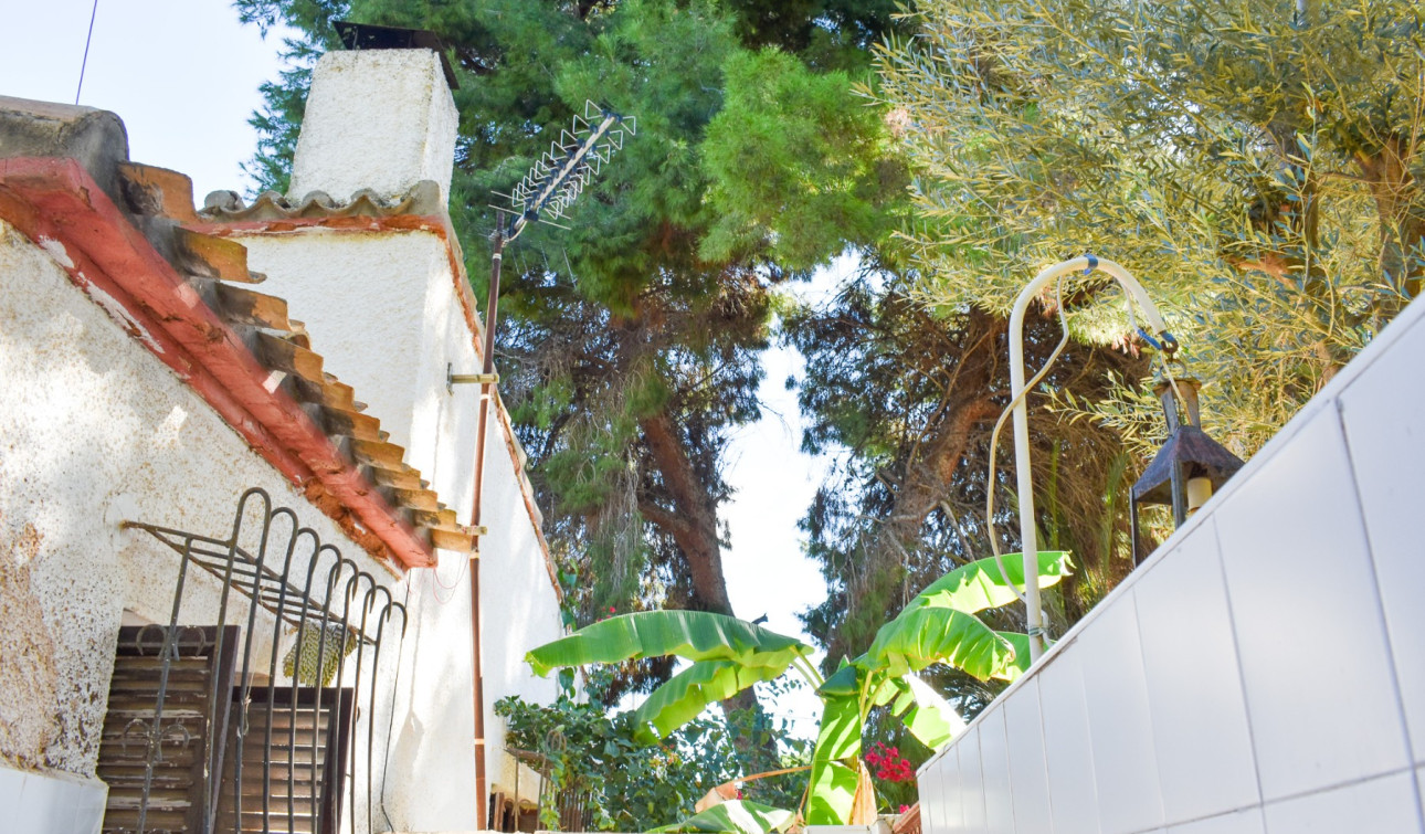 Resale - Detached Villa - Orihuela Costa - Punta Prima