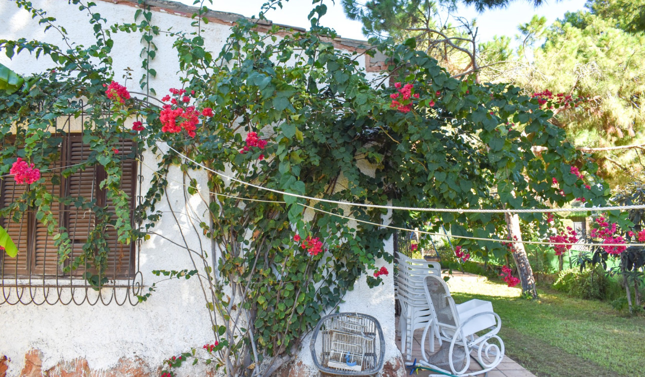 Resale - Detached Villa - Orihuela Costa - Punta Prima