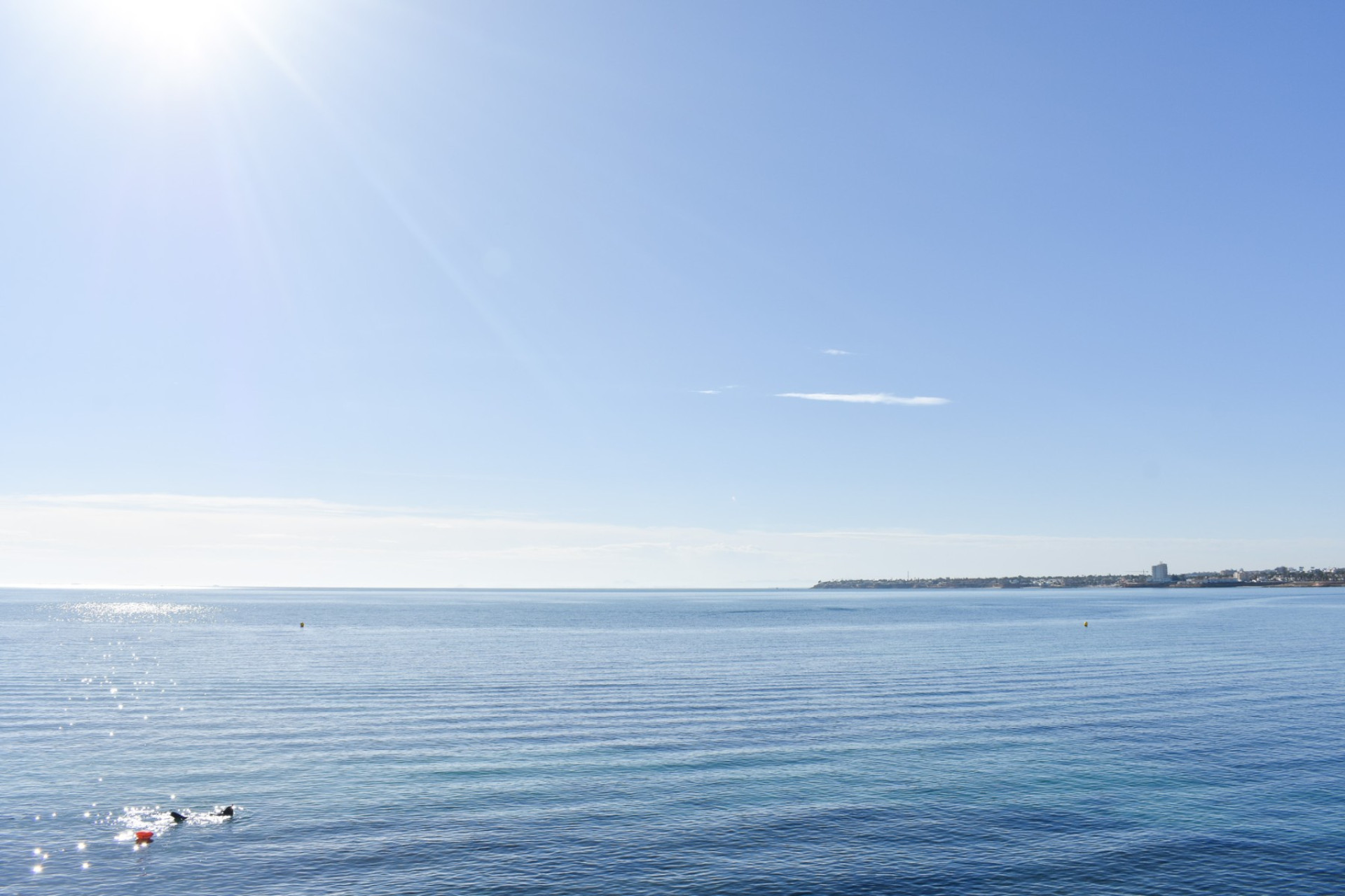 Resale - Detached Villa - Orihuela Costa - Punta Prima