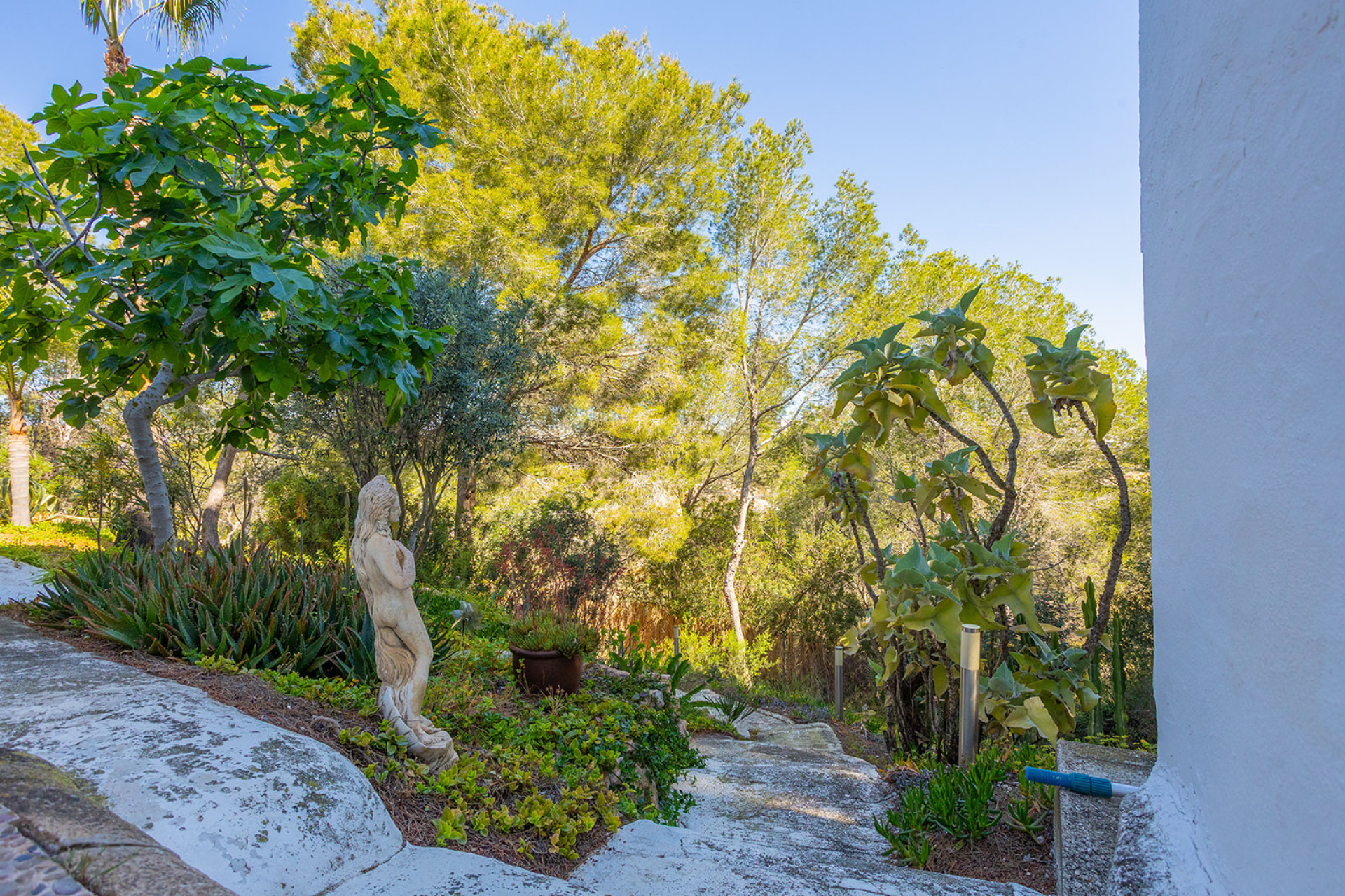 Resale - Detached Villa - Orihuela - Orihuela Costa