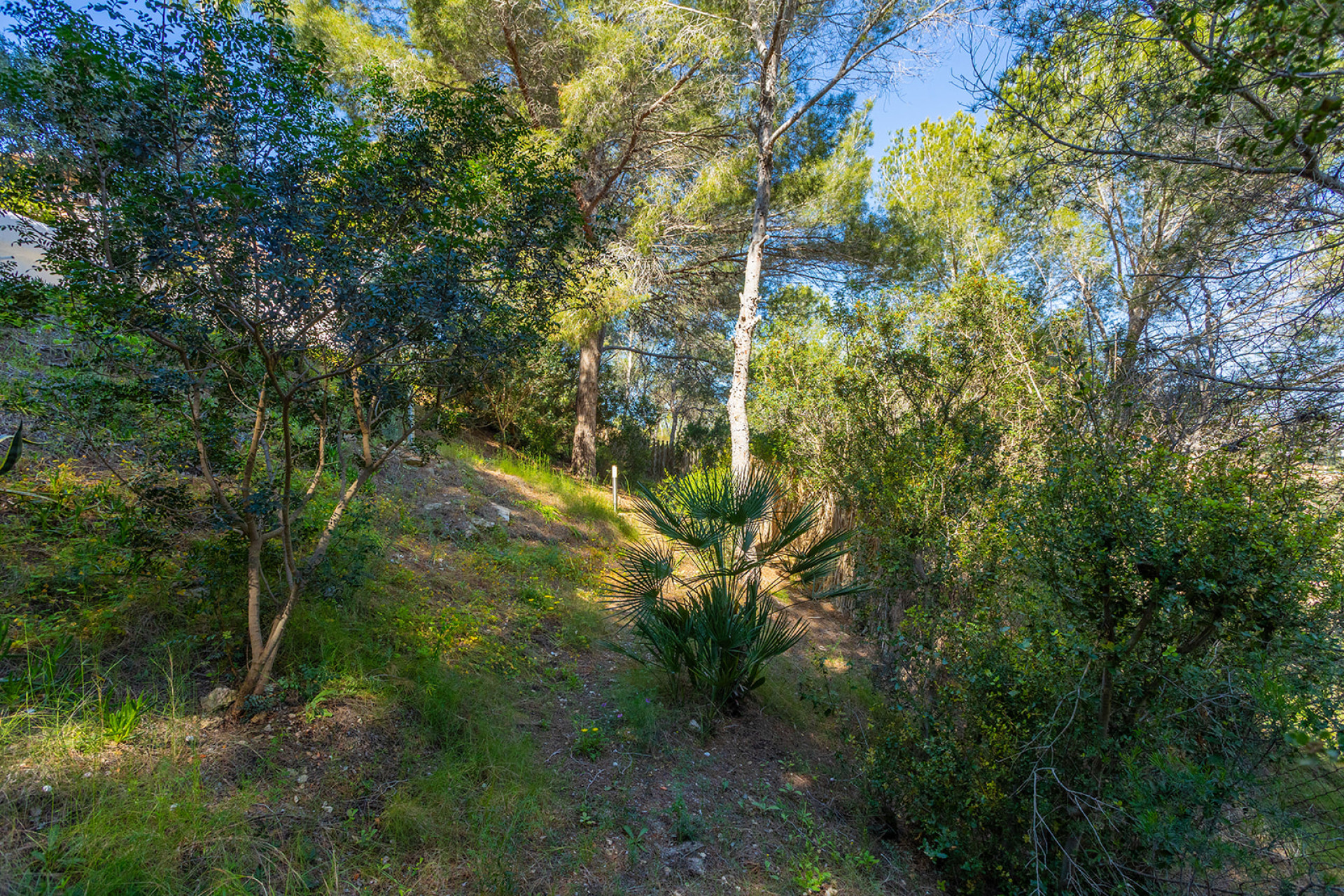 Resale - Detached Villa - Orihuela - Orihuela Costa