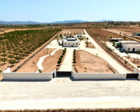 Resale - Detached Villa - Pinoso