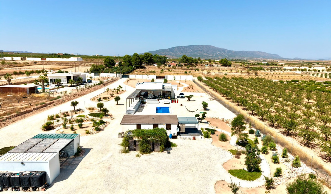 Resale - Detached Villa - Pinoso