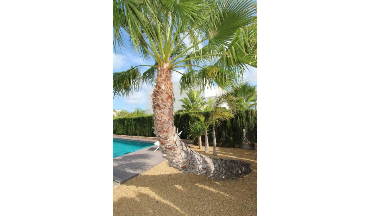 Resale - Detached Villa - Rojales - Ciudad Quesada