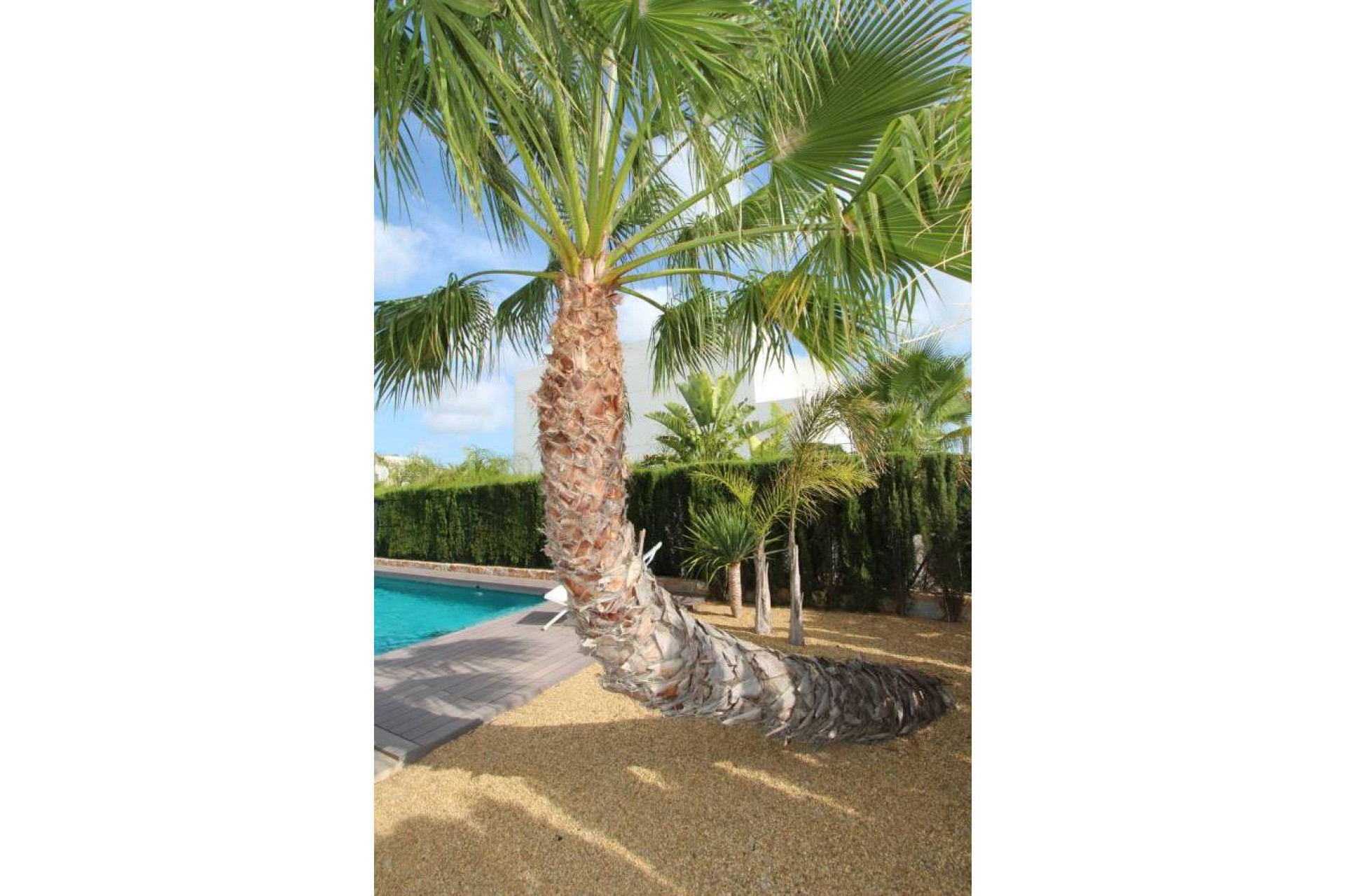 Resale - Detached Villa - Rojales - Ciudad Quesada