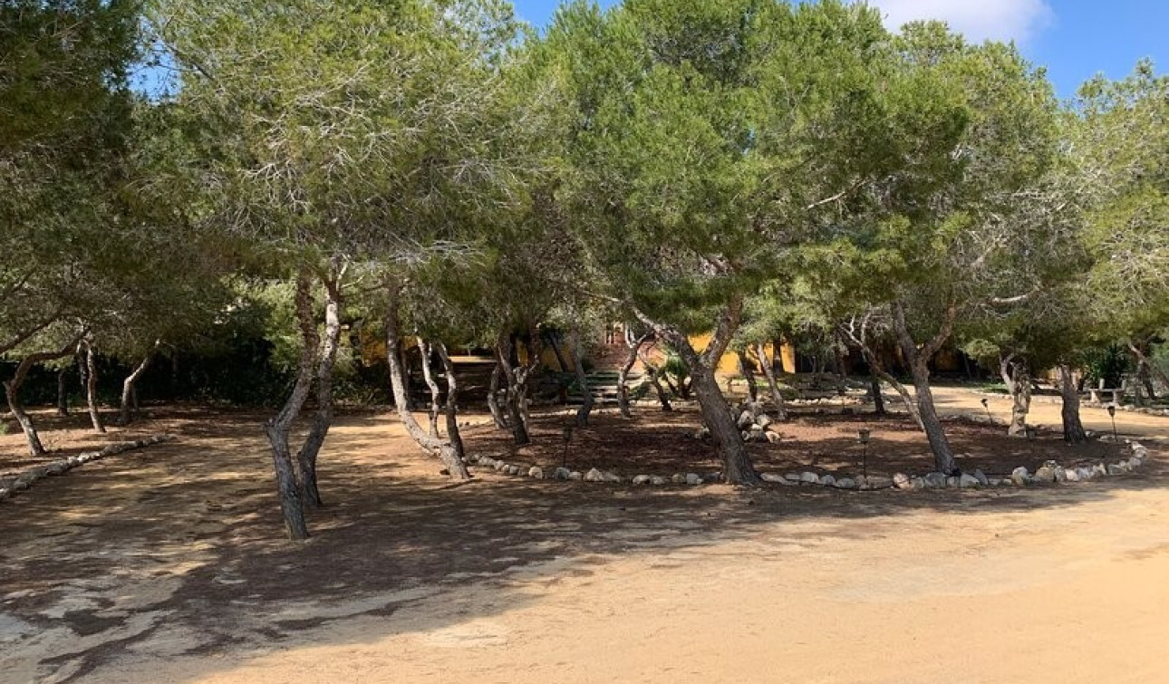 Resale - Detached Villa - Rojales - Ciudad Quesada