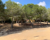 Resale - Detached Villa - Rojales - Ciudad Quesada