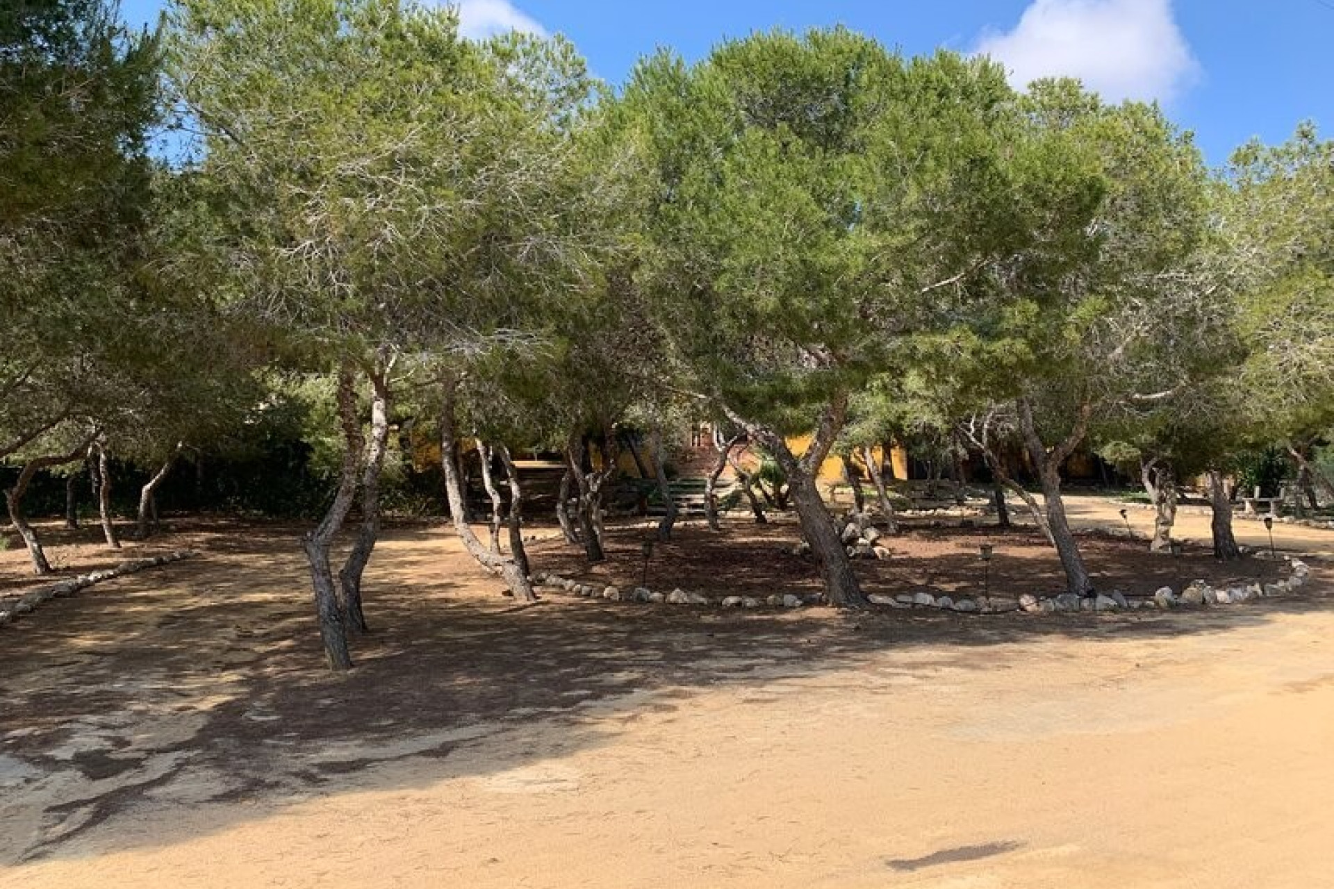 Resale - Detached Villa - Rojales - Ciudad Quesada