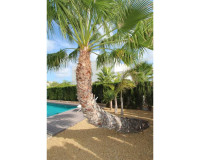 Resale - Detached Villa - Rojales - Cuidad Quesada