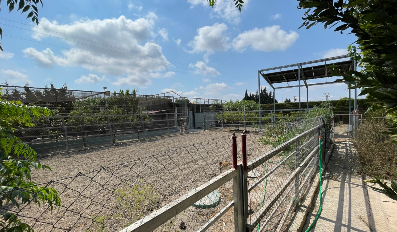 Resale - Detached Villa - San Fulgencio - La Marina