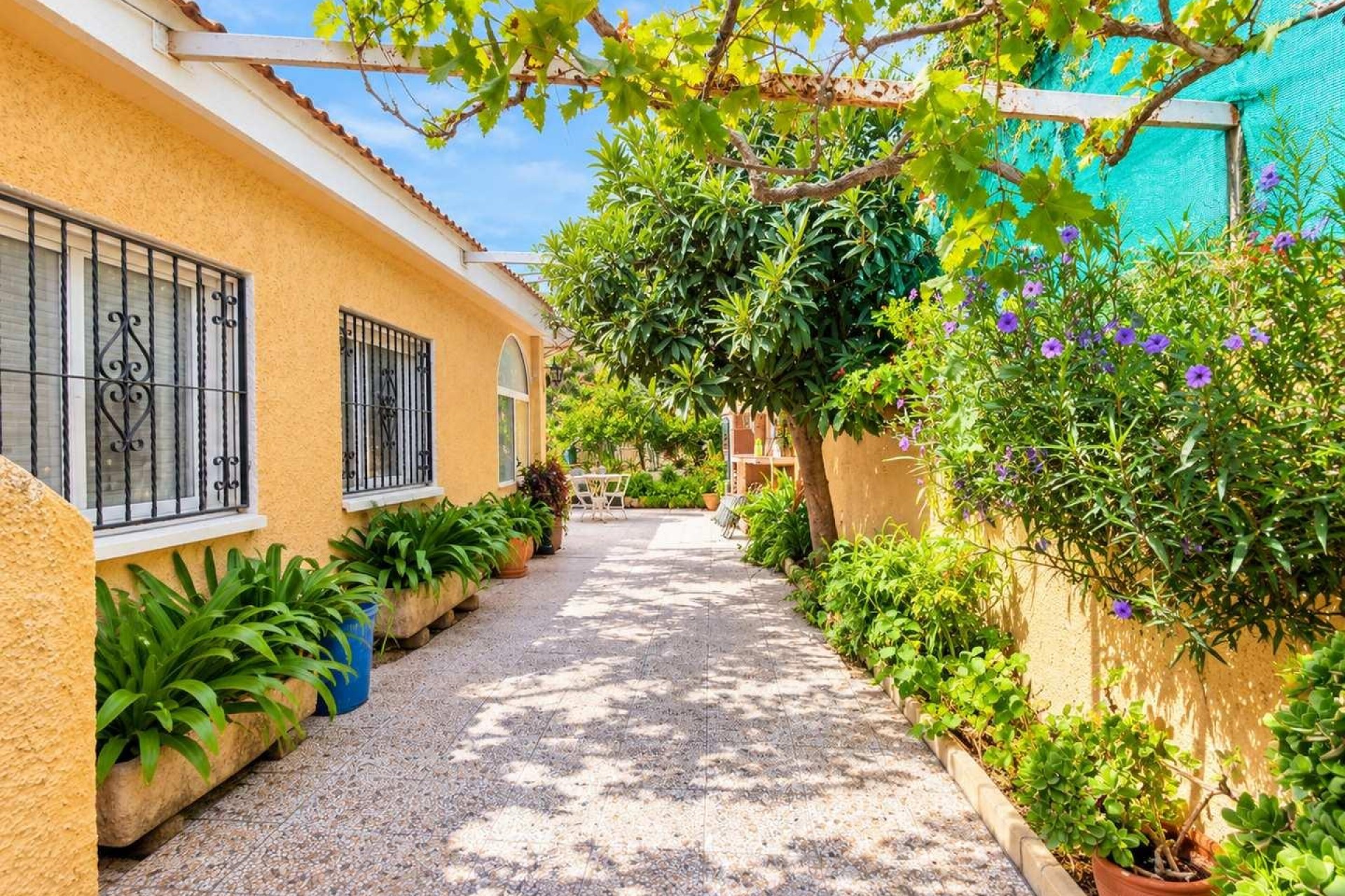Resale - Detached Villa - San Miguel de Salinas - Ciudad De Las Comunicaciones