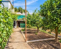 Resale - Detached Villa - San Miguel de Salinas - Ciudad De Las Comunicaciones