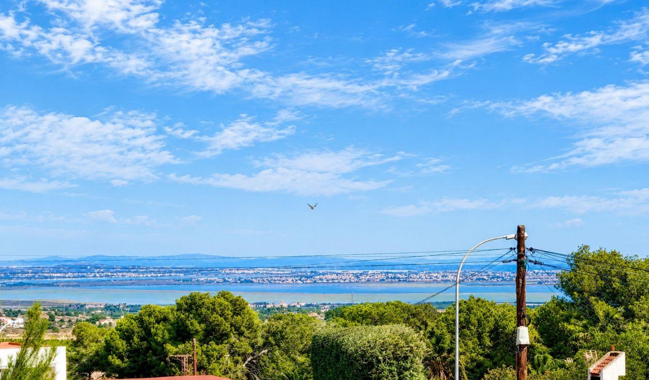 Resale - Detached Villa - San Miguel de Salinas - Ciudad De Las Comunicaciones