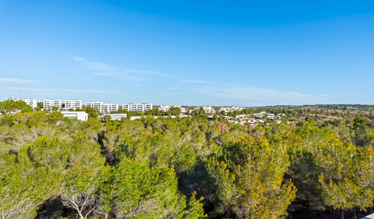 Resale - Detached Villa - San Miguel de Salinas - Las Colinas golf