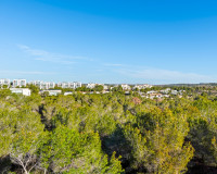 Resale - Detached Villa - San Miguel de Salinas - Las Colinas golf