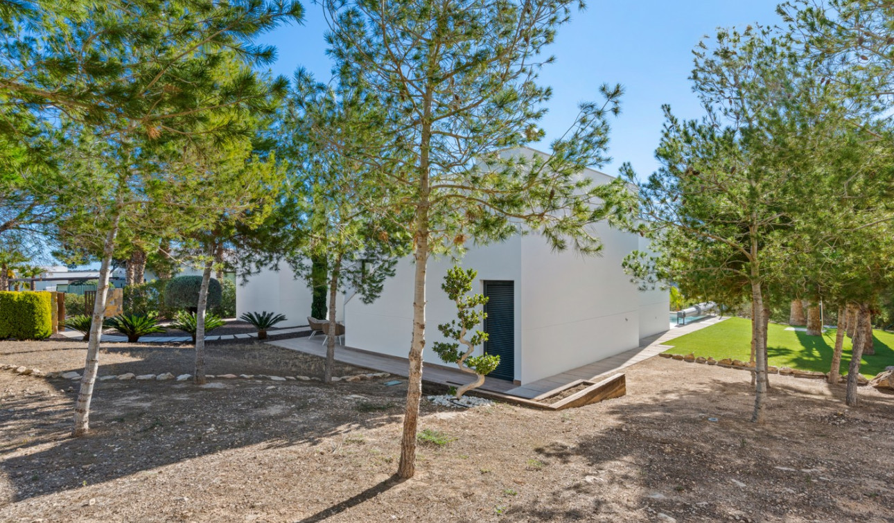 Resale - Detached Villa - San Miguel de Salinas - Las Colinas golf