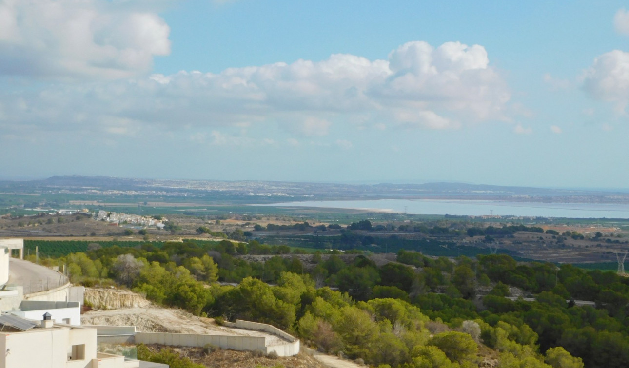 Resale - Detached Villa - San Miguel de Salinas