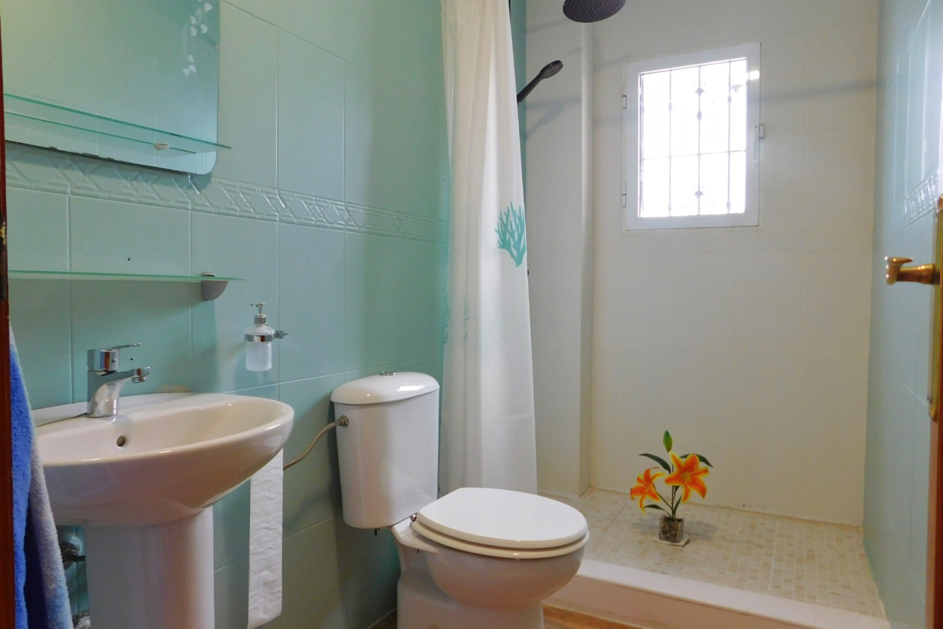 Resale - Detached Villa - San Miguel de Salinas