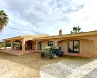 Resale - Detached Villa - San Miguel de Salinas