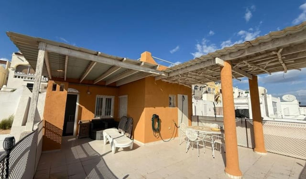 Resale - Detached Villa - San Miguel de Salinas