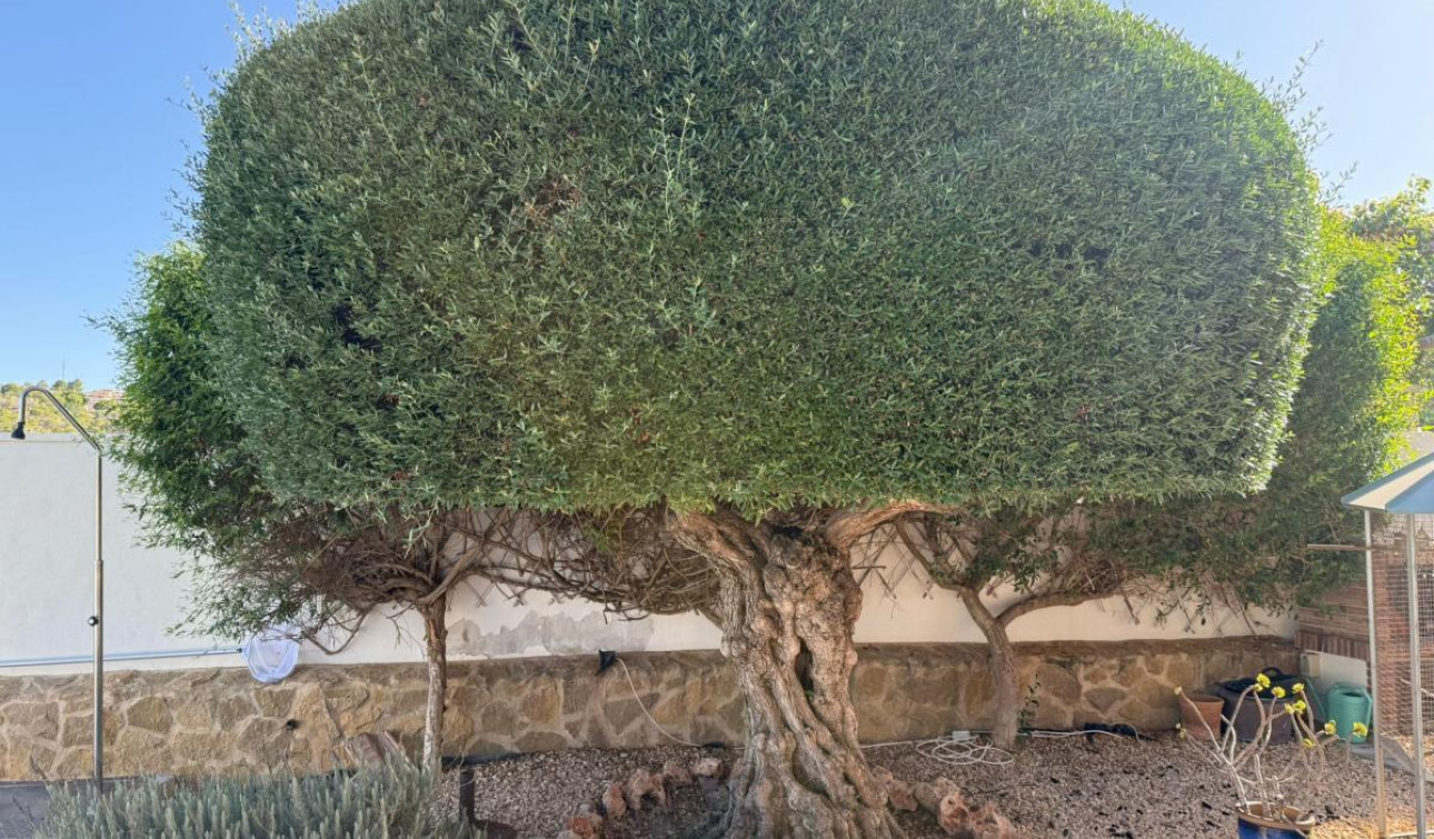 Resale - Detached Villa - San Miguel de Salinas