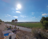 Resale - Detached Villa - San Miguel de Salinas