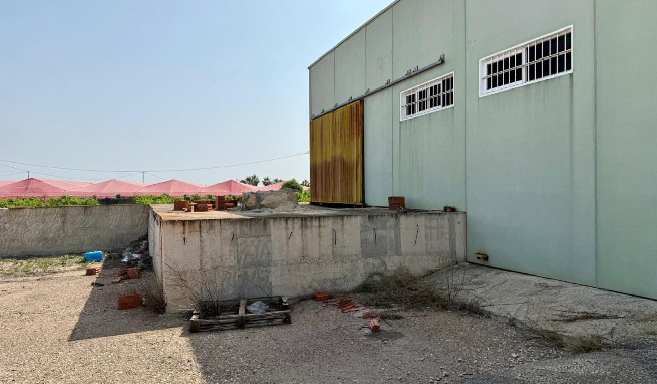 Resale - Detached Villa - San Miguel de Salinas