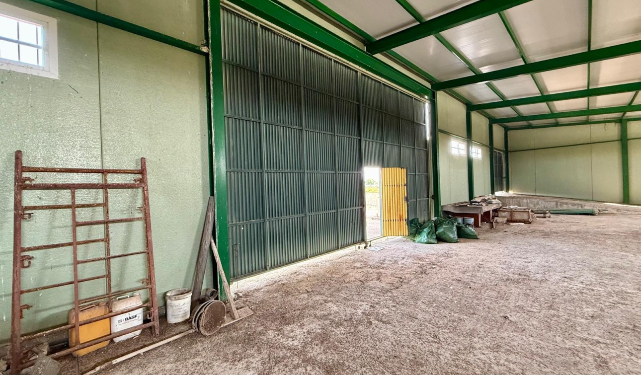 Resale - Detached Villa - San Miguel de Salinas