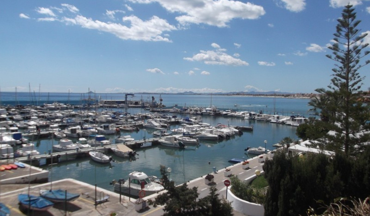 Resale - Detached Villa - Torre de la Horadada