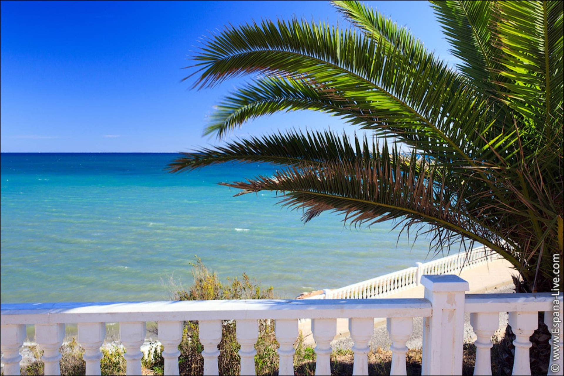 Resale - Detached Villa - Torre de la Horadada