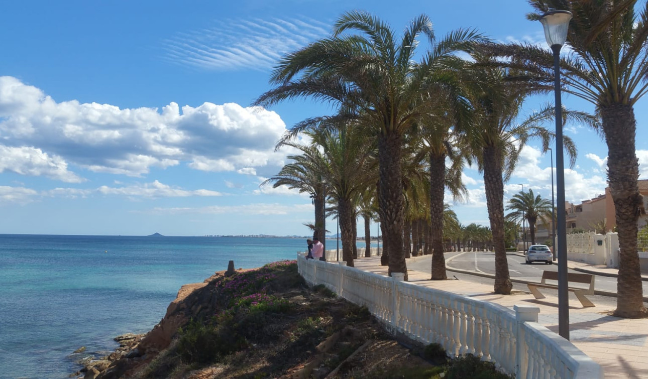 Resale - Detached Villa - Torre de la Horadada