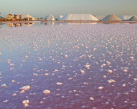 Resale - Detached Villa - Torre de la Horadada